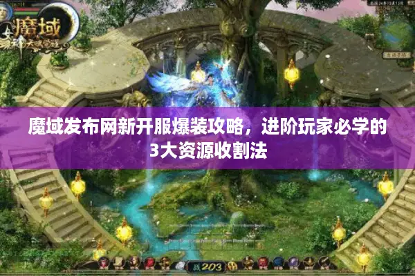 魔域发布网新开服爆装攻略，进阶玩家必学的3大资源收割法