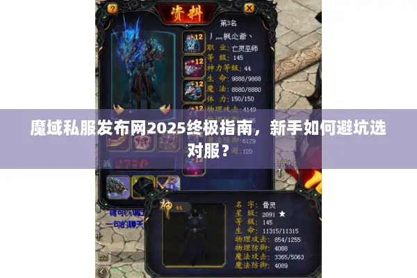 魔域私服发布网2025终极指南，新手如何避坑选对服？