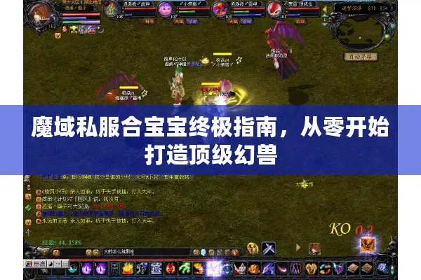 魔域私服合宝宝终极指南，从零开始打造顶级幻兽