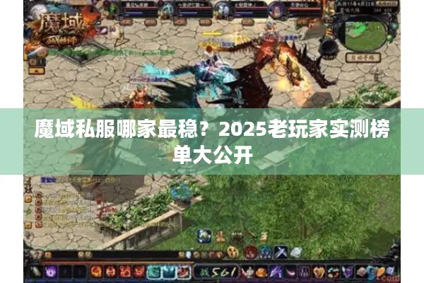 魔域私服哪家最稳？2025老玩家实测榜单大公开