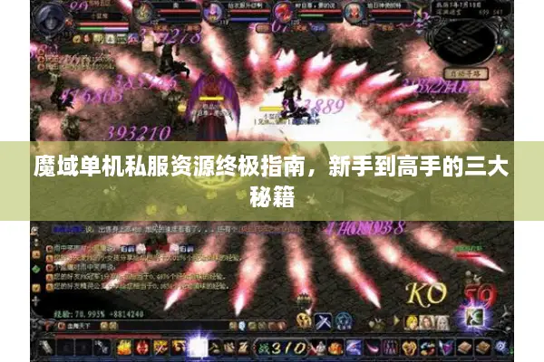 魔域单机私服资源终极指南,新手到高手的三大秘籍 魔域单机私服资源终极指南,新手到高手的三大秘籍