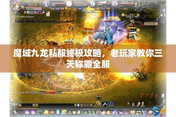 魔域九龙私服终极攻略，老玩家教你三天称霸全服