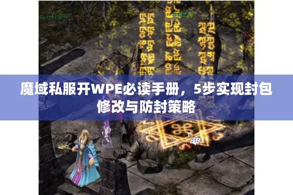 魔域私服开WPE必读手册，5步实现封包修改与防封策略