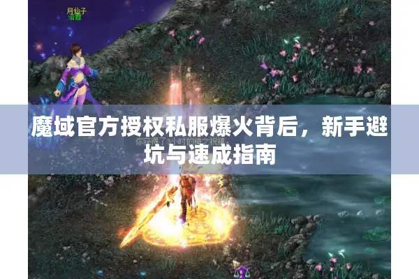 魔域官方授权私服爆火背后，新手避坑与速成指南
