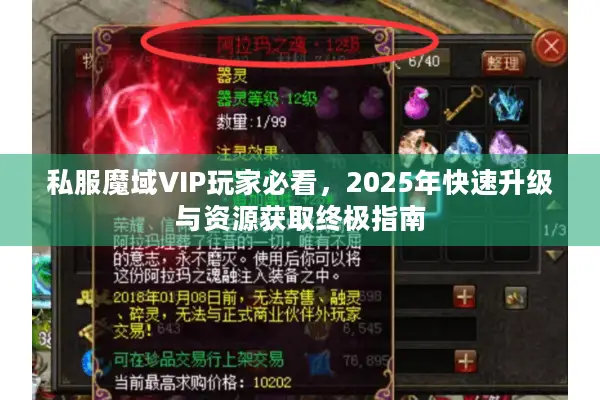 私服魔域VIP玩家必看，2025年快速升级与资源获取终极指南