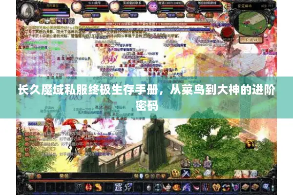 长久魔域私服终极生存手册，从菜鸟到大神的进阶密码