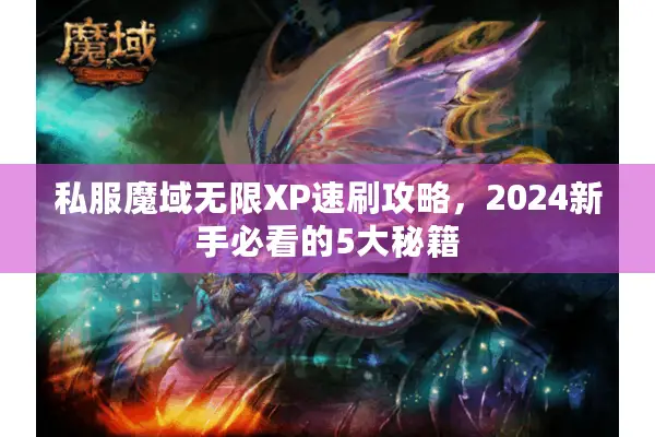 私服魔域无限XP速刷攻略，2024新手必看的5大秘籍