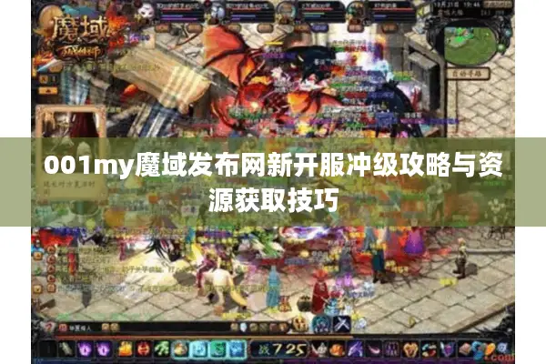 001my魔域发布网新开服冲级攻略与资源获取技巧
