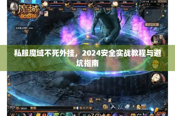 私服魔域不死外挂，2024安全实战教程与避坑指南