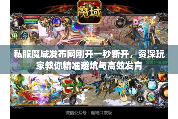 私服魔域发布网刚开一秒新开，资深玩家教你精准避坑与高效发育