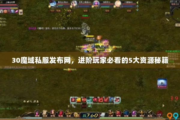 30魔域私服发布网，进阶玩家必看的5大资源秘籍