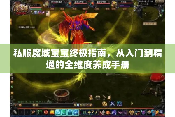 私服魔域宝宝终极指南，从入门到精通的全维度养成手册