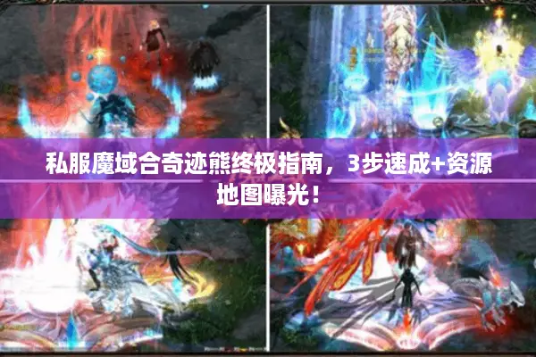 私服魔域合奇迹熊终极指南，3步速成+资源地图曝光！
