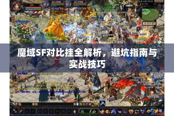 魔域SF对比挂全解析，避坑指南与实战技巧