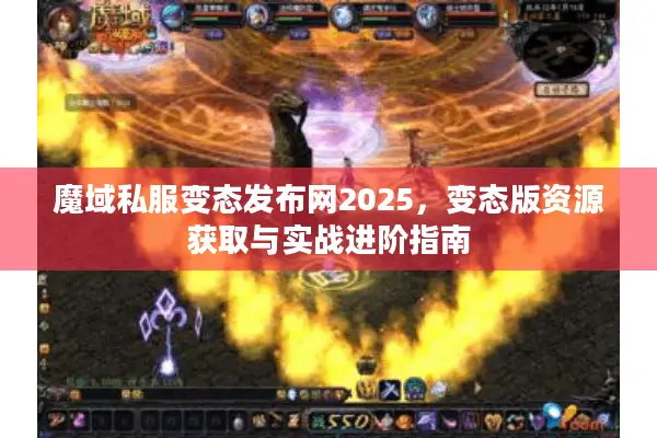 魔域私服变态发布网2025，变态版资源获取与实战进阶指南