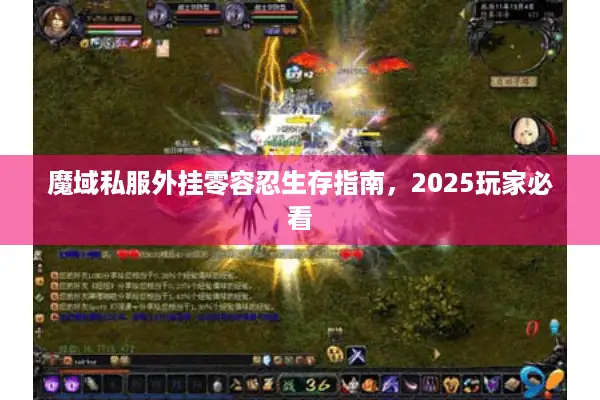 魔域私服外挂零容忍生存指南，2025玩家必看