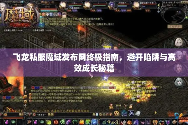 飞龙私服魔域发布网终极指南，避开陷阱与高效成长秘籍