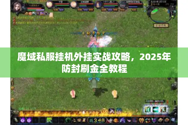 魔域私服挂机外挂实战攻略，2025年防封刷金全教程