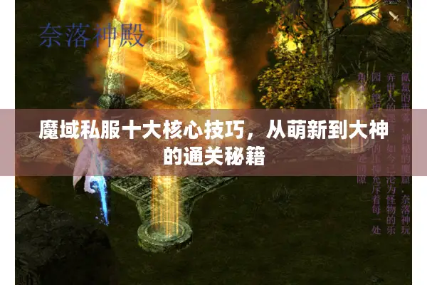 魔域私服十大核心技巧，从萌新到大神的通关秘籍