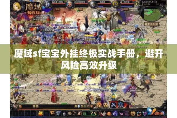 魔域sf宝宝外挂终极实战手册，避开风险高效升级