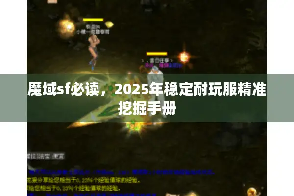 魔域sf必读，2025年稳定耐玩服精准挖掘手册