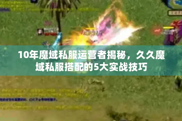 10年魔域私服运营者揭秘，久久魔域私服搭配的5大实战技巧