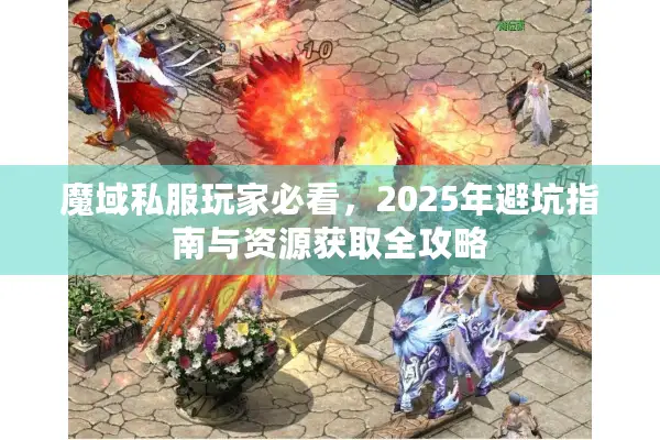 魔域私服玩家必看，2025年避坑指南与资源获取全攻略