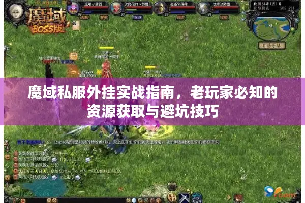 魔域私服外挂实战指南，老玩家必知的资源获取与避坑技巧