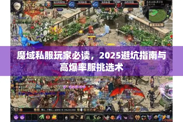 魔域私服玩家必读，2025避坑指南与高爆率服挑选术