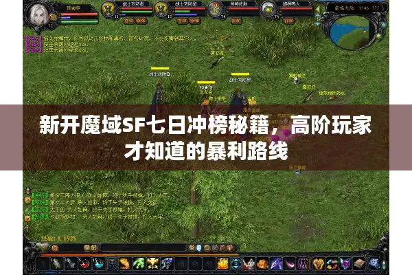 新开魔域SF七日冲榜秘籍，高阶玩家才知道的暴利路线