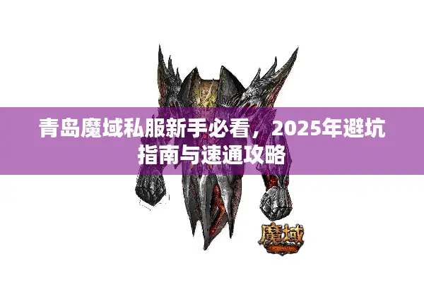 青岛魔域私服新手必看，2025年避坑指南与速通攻略