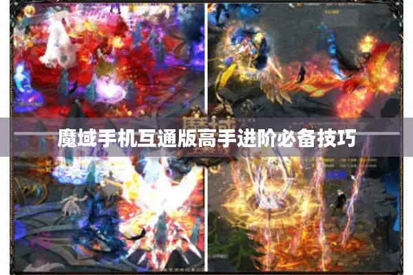 魔域手机互通版高手进阶必备技巧