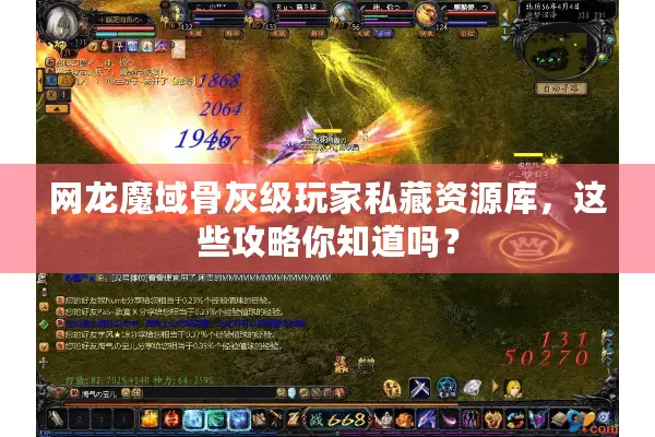网龙魔域骨灰级玩家私藏资源库，这些攻略你知道吗？