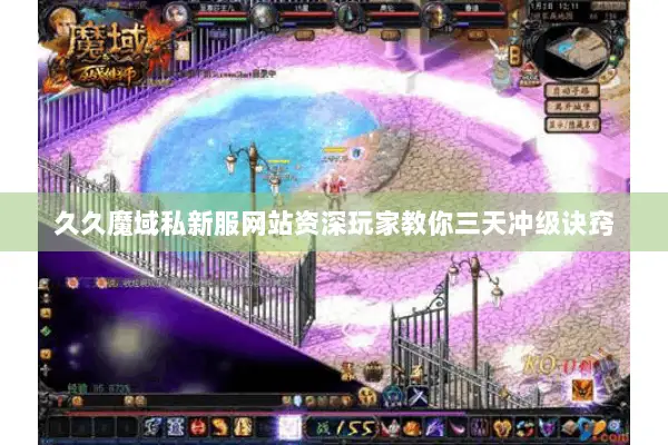 久久魔域私新服网站资深玩家教你三天冲级诀窍