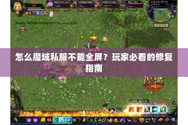 怎么魔域私服不能全屏？玩家必看的修复指南