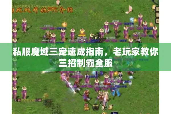 私服魔域三宠速成指南，老玩家教你三招制霸全服