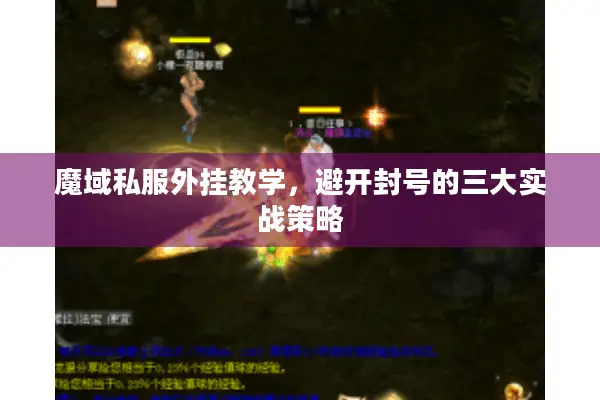魔域私服外挂教学，避开封号的三大实战策略