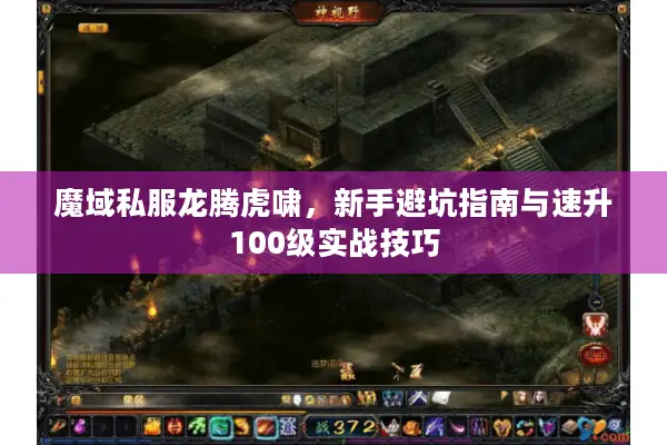 魔域私服龙腾虎啸，新手避坑指南与速升100级实战技巧