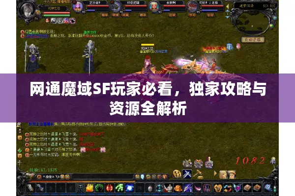 网通魔域SF玩家必看，独家攻略与资源全解析