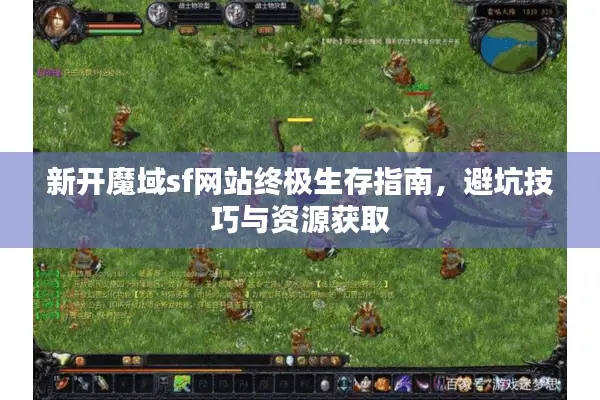 新开魔域sf网站终极生存指南，避坑技巧与资源获取
