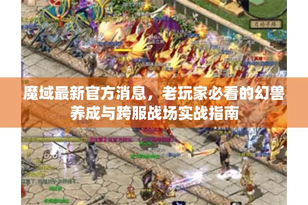魔域最新官方消息，老玩家必看的幻兽养成与跨服战场实战指南