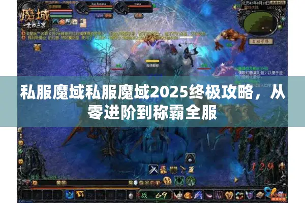 私服魔域私服魔域2025终极攻略，从零进阶到称霸全服