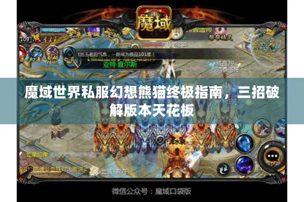 魔域世界私服幻想熊猫终极指南，三招破解版本天花板