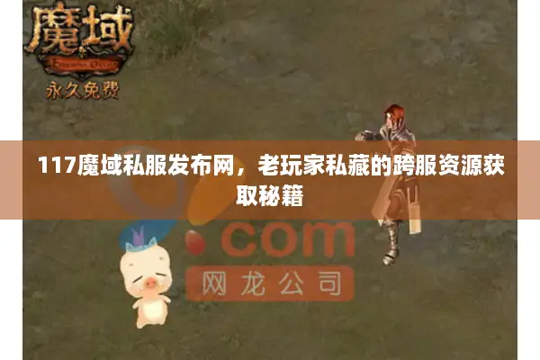 117魔域私服发布网，老玩家私藏的跨服资源获取秘籍