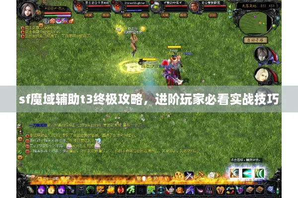sf魔域辅助t3终极攻略，进阶玩家必看实战技巧