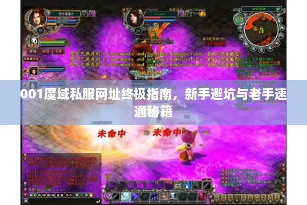 001魔域私服网址终极指南，新手避坑与老手速通秘籍