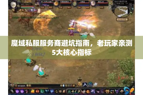 魔域私服服务商避坑指南，老玩家亲测5大核心指标