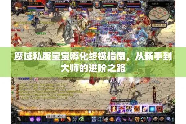 魔域私服宝宝孵化终极指南，从新手到大师的进阶之路