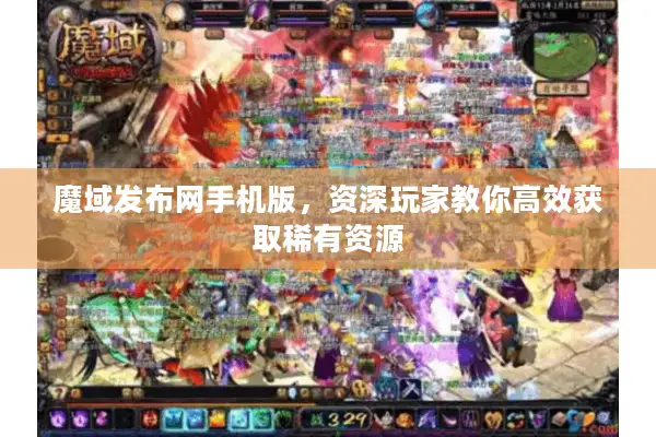 魔域发布网手机版，资深玩家教你高效获取稀有资源