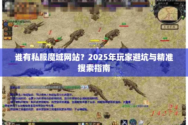 谁有私服魔域网站？2025年玩家避坑与精准搜索指南